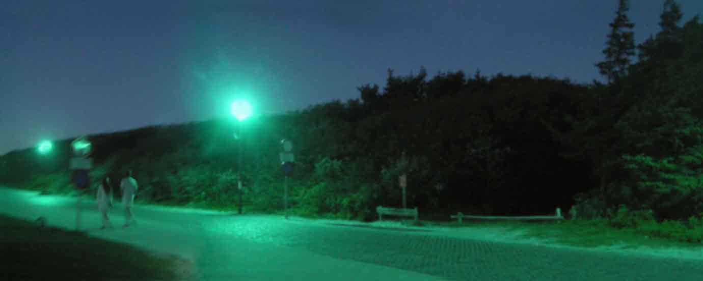 grün100x40