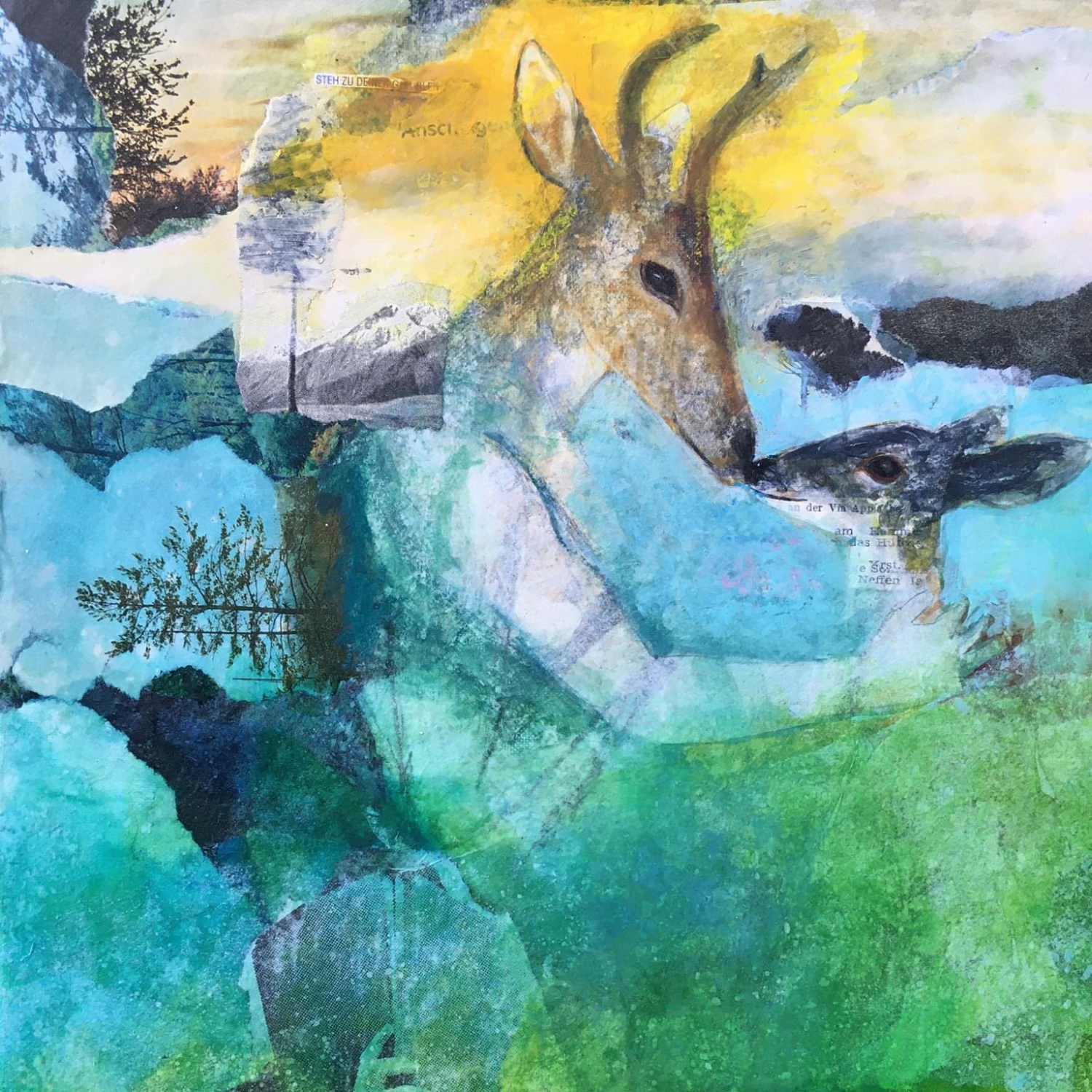 Heike Weber, Rehe.q